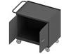 36/48" W MOBILE BENCH CABINETS