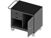 36/48" W MOBILE BENCH CABINETS