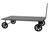 LOW DECK STEEL PLATFORM TRUCKS