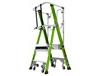 SAFETY CAGE LADDERS