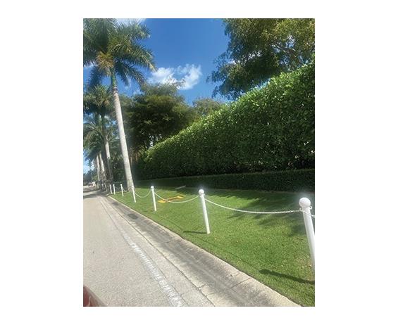 CROWD CONTROL - GROUND POLES