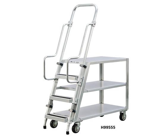 LADDER CARTS