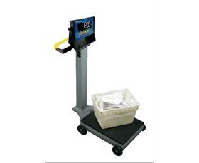 1200 SERIES GENERAL DIGITAL PORTABLE SCALE