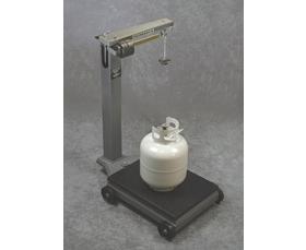 PORTABLE FLOOR BEAM SCALE