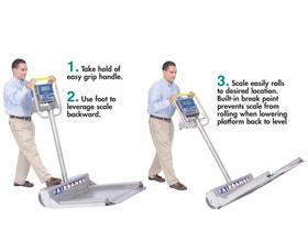 AEGIS® TRANSPORT SCALE