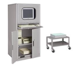 COMPUTER ENCLOSURE CABINET AND LOW PROFILE CARTS