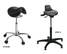 SADDLE SEAT AND SIT STAND