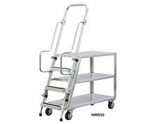 LADDER CARTS